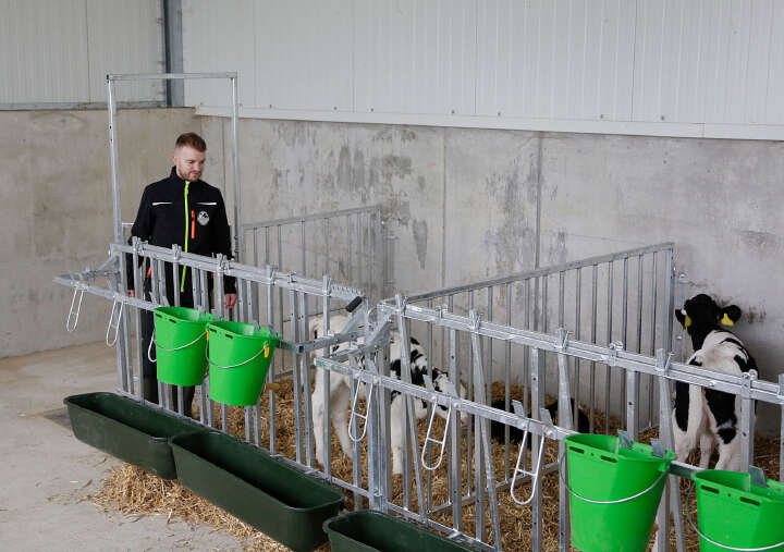 KERBL Modulare Zaunaufstallung Fanggitter